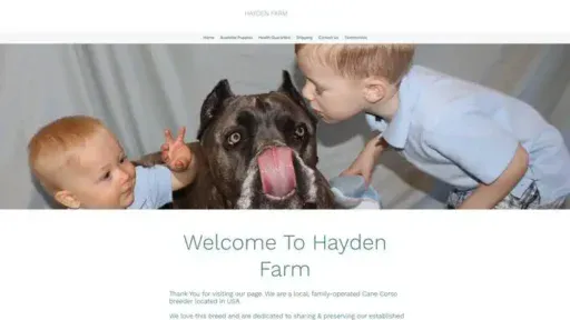 Screenshot of
