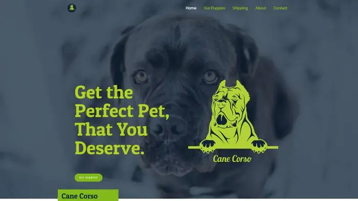 Screenshot of