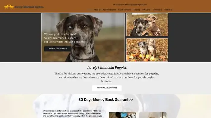 Screenshot of