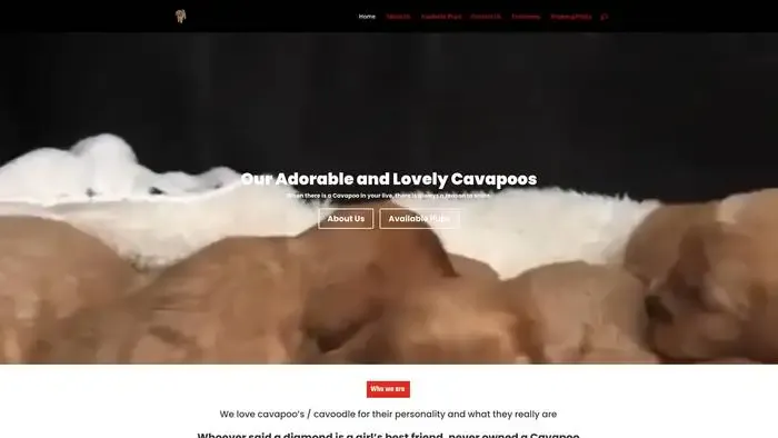 Screenshot of