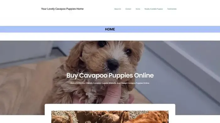 Screenshot of