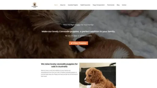 Screenshot of