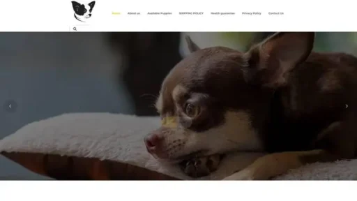 Screenshot of