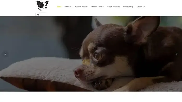Screenshot of