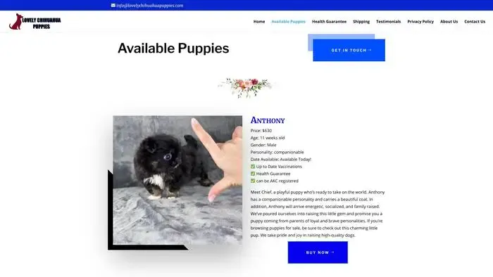 Screenshot of