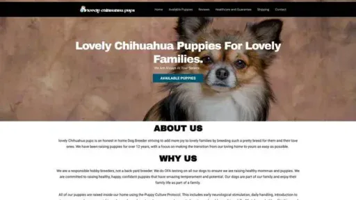 Screenshot of