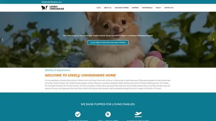 Screenshot of