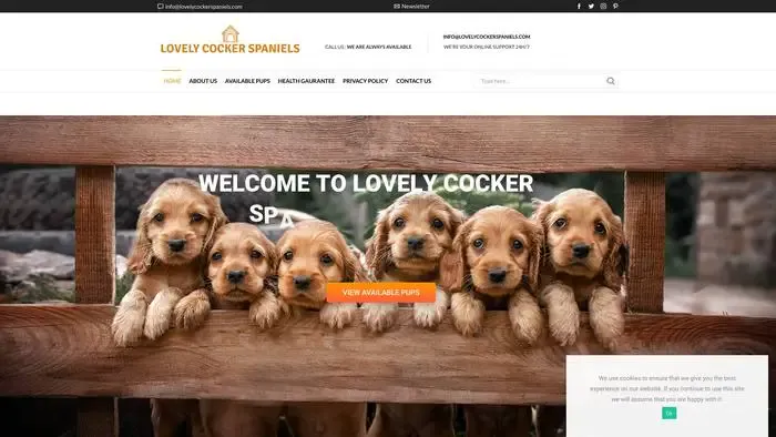 Screenshot of