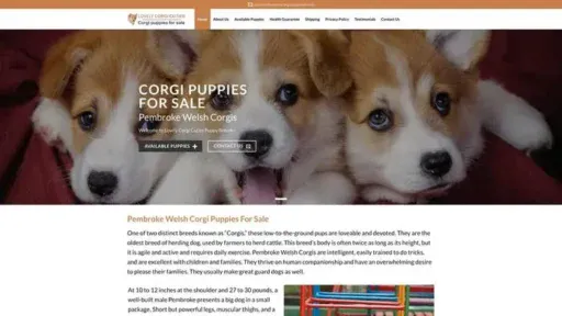 Screenshot of
