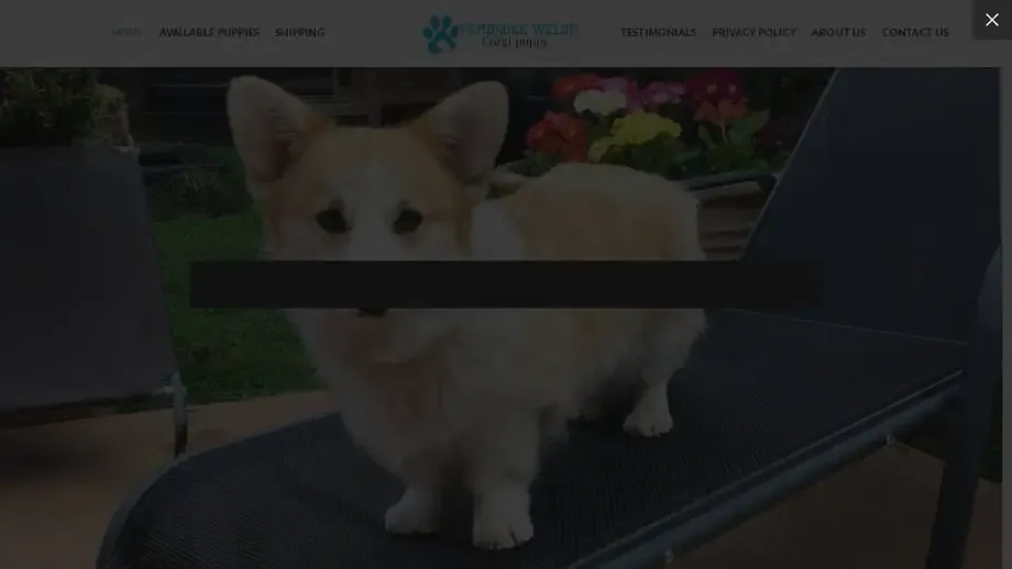 Screenshot of