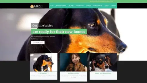 Screenshot of