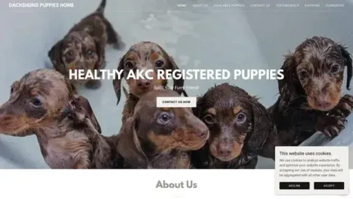 Screenshot of