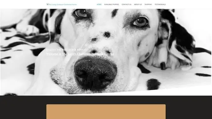 Screenshot of