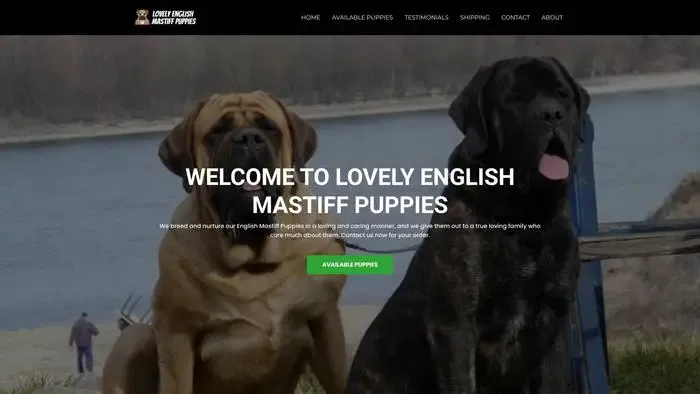 Screenshot of