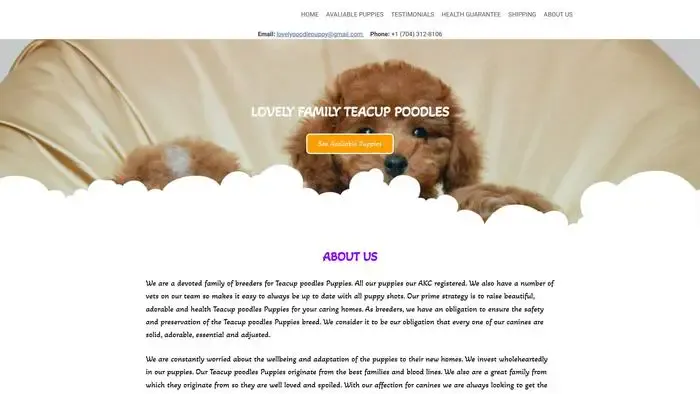Screenshot of