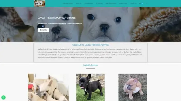 Screenshot of