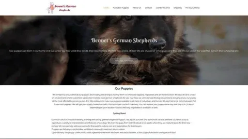 Screenshot of