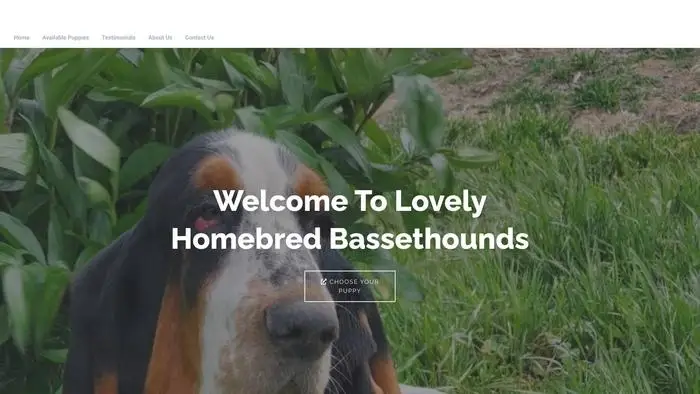 Screenshot of