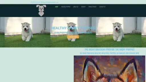 Screenshot of