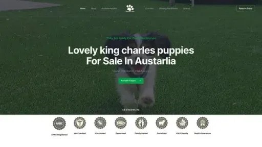 Screenshot of