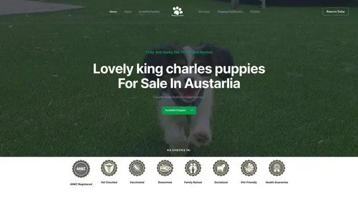 Screenshot of