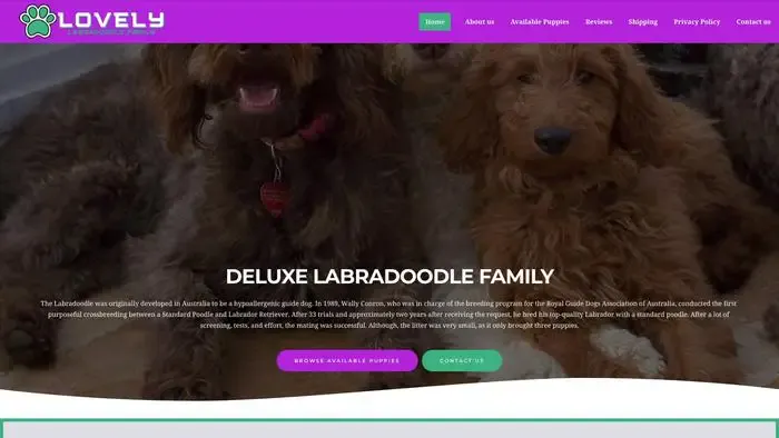 Screenshot of