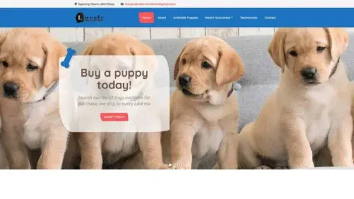 Screenshot of