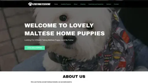 Screenshot of