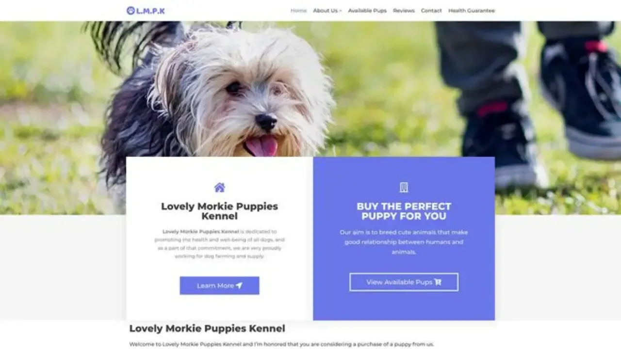 Lovelymorkiepuppieskennel