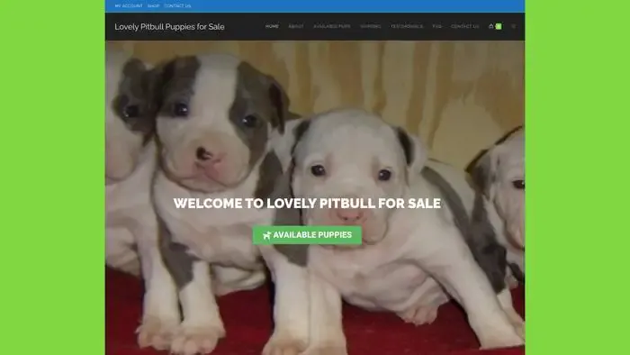 Screenshot of