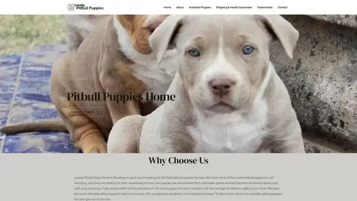 Screenshot of
