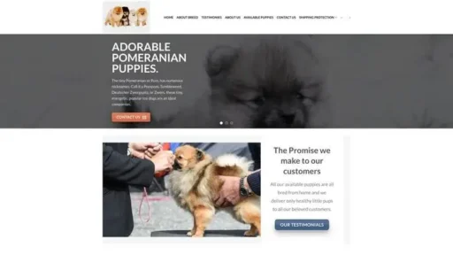 Screenshot of