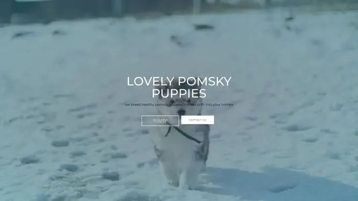 Screenshot of
