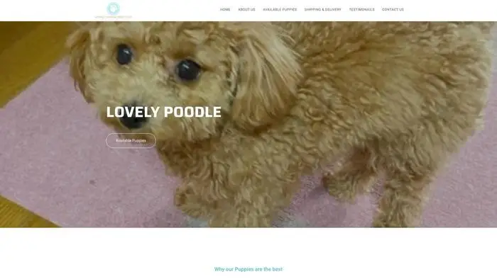 Screenshot of