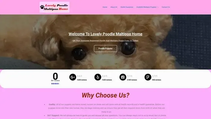 Screenshot of