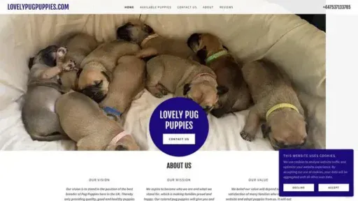 Screenshot of