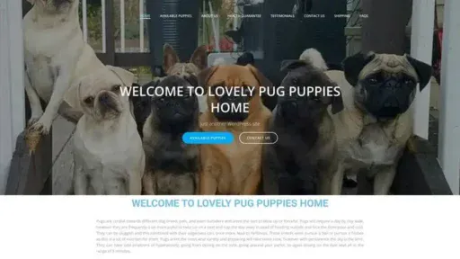 Screenshot of