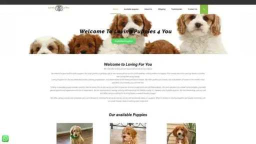 Screenshot of