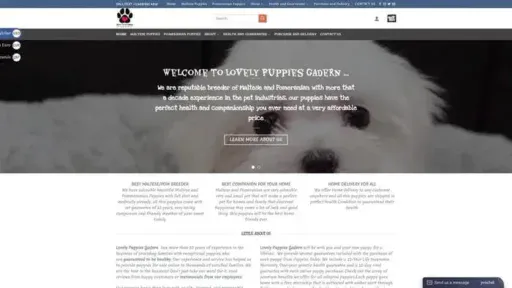Screenshot of