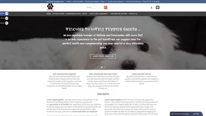 Screenshot of