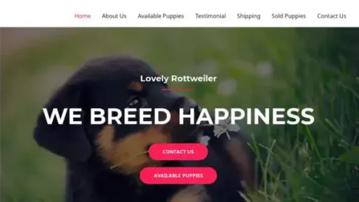 Screenshot of