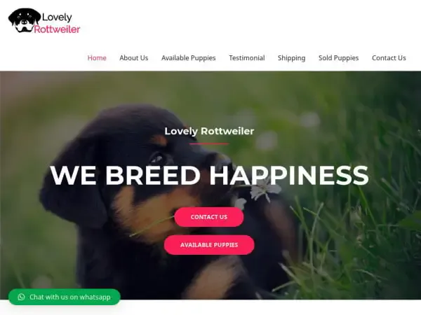 Screenshot of