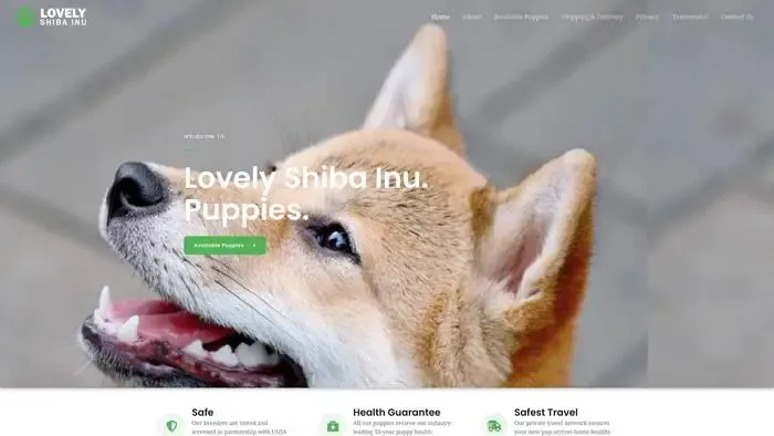 Screenshot of