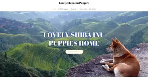 Screenshot of