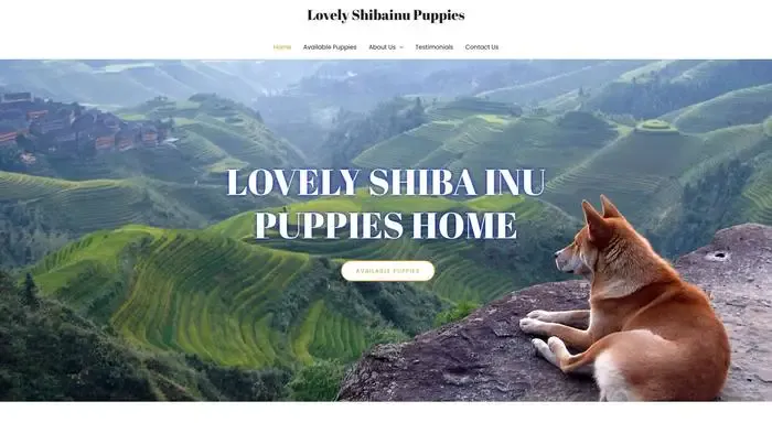 Screenshot of