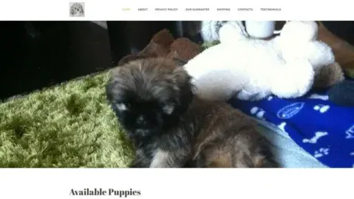 Screenshot of