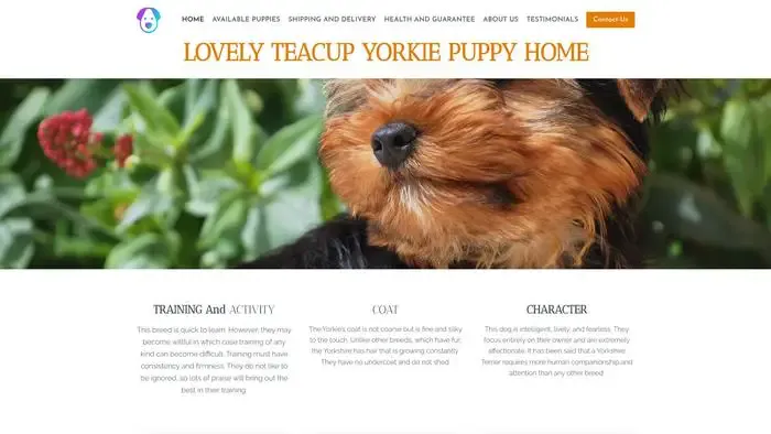 Screenshot of