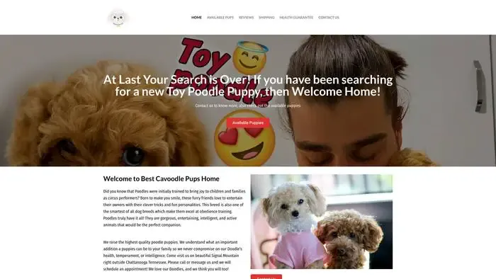 Screenshot of