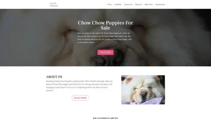 Screenshot of