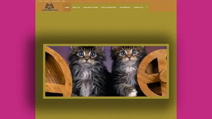 Screenshot of